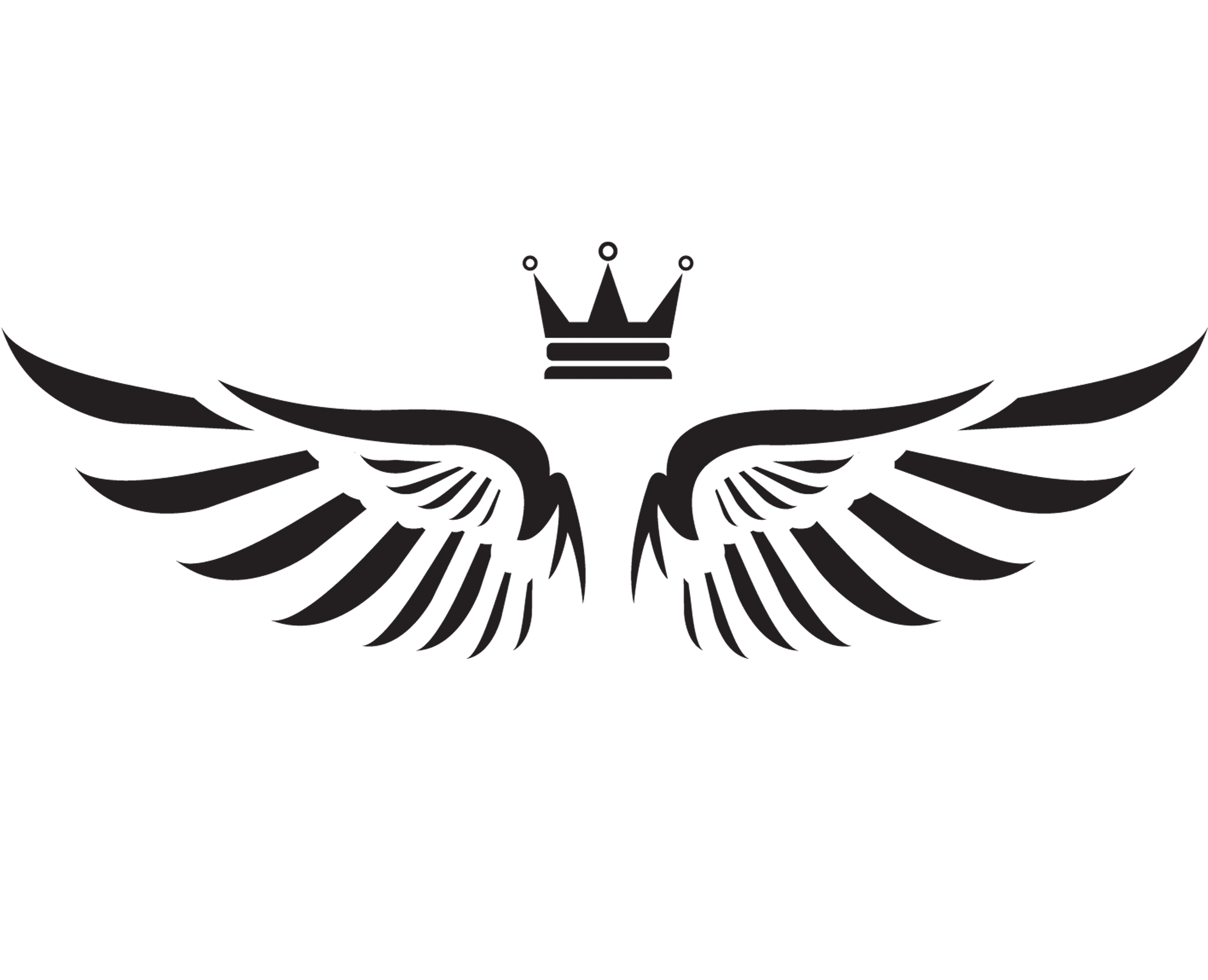 Twynz Aerospace Logo